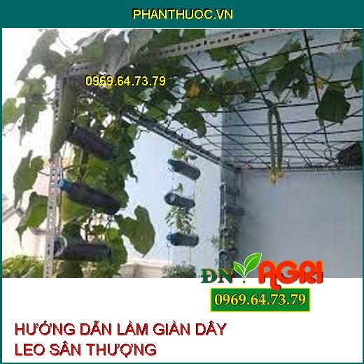 HƯỚNG DẪN LÀM GIÀN DÂY LEO SÂN THƯỢNG VÀ CÁCH CHĂM BÓN CÂY LEO GIÀN