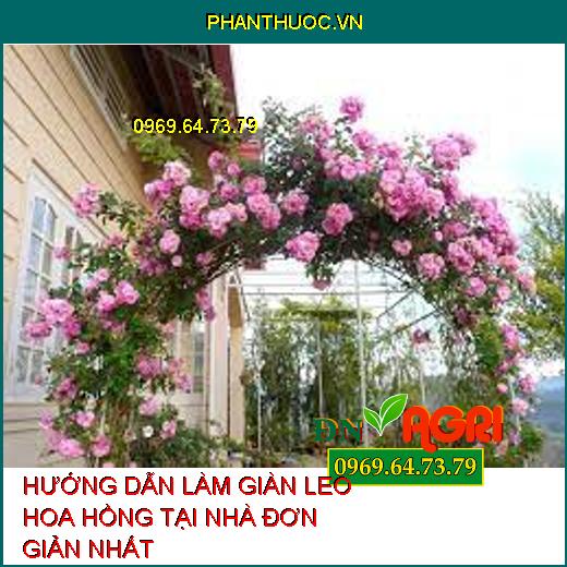 HƯỚNG DẪN LÀM GIÀN LEO HOA HỒNG TẠI NHÀ ĐƠN GIẢN NHẤT