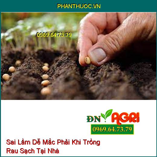 8 Sai Lầm Dễ Mắc Phải Khi Trồng Rau Sạch Tại Nhà