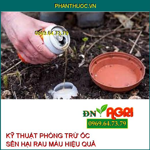 KỸ THUẬT PHÒNG TRỪ ỐC SÊN HẠI RAU MÀU HIỆU QUẢ