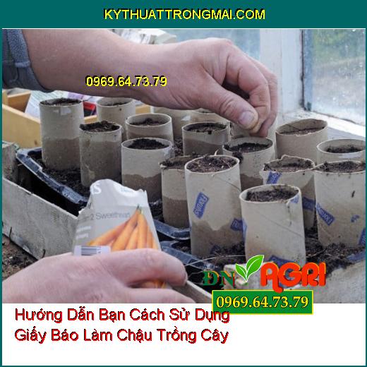 Hướng Dẫn Bạn Cách Sử Dụng Giấy Báo Làm Chậu Trồng Cây