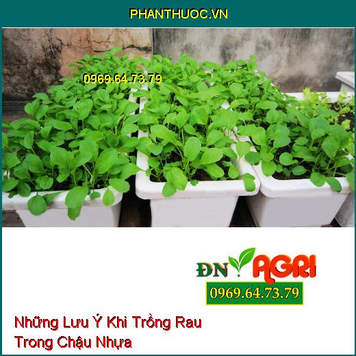 Những Lưu Ý Khi Trồng Rau Trong Chậu Nhựa Bạn Đã Biết?