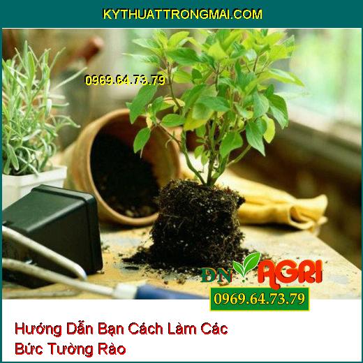 Hướng Dẫn Bạn Cách Làm Các Bức Tường Rào Vừa Đơn Giản Vừa Dễ Làm