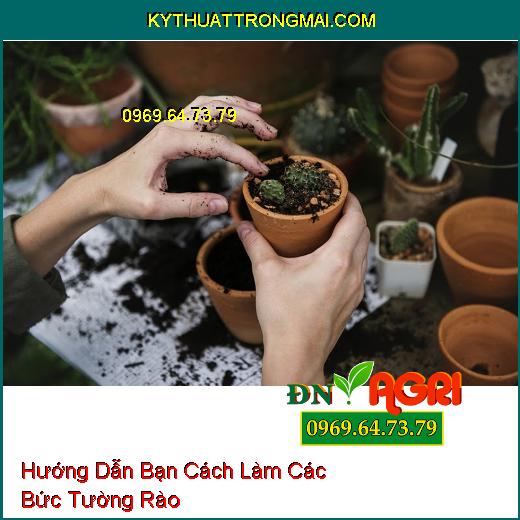 Hướng Dẫn Bạn Cách Làm Các Bức Tường Rào Vừa Đơn Giản Vừa Dễ Làm