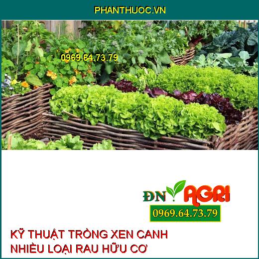 KỸ THUẬT TRỒNG XEN CANH NHIỀU LOẠI RAU HỮU CƠ