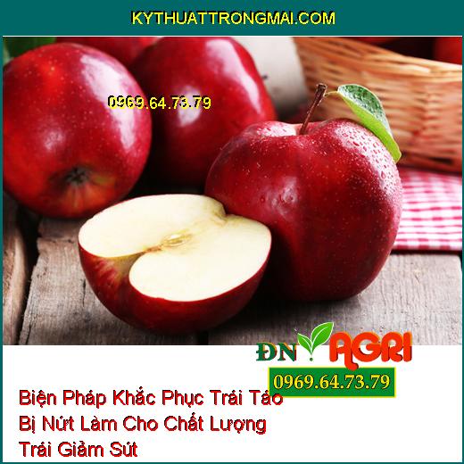 Biện Pháp Khắc Phục Trái Táo Bị Nứt Làm Cho Chất Lượng Trái Giảm Sút