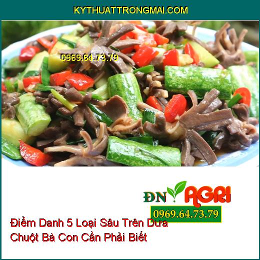 Điểm Danh 5 Loại Sâu Trên Dưa Chuột Bà Con Cần Phải Biết 