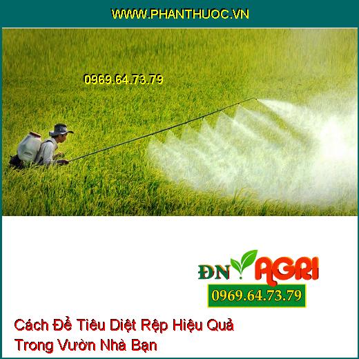 Cách Để Tiêu Diệt Rệp Hiệu Quả Trong Vườn Nhà Bạn