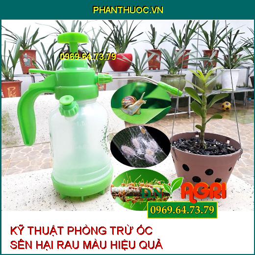 KỸ THUẬT PHÒNG TRỪ ỐC SÊN HẠI RAU MÀU HIỆU QUẢ