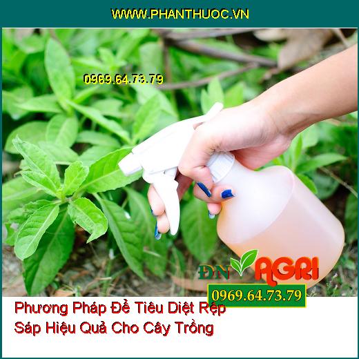 Phương Pháp Để Tiêu Diệt Rệp Sáp Hiệu Quả Cho Cây Trồng