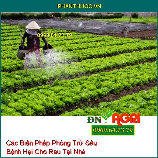 Các Biện Pháp Phòng Trừ Sâu Bệnh Hại Cho Rau Tại Nhà