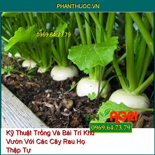 Kỹ Thuật Trồng Và Bài Trí Khu Vườn Với Các Cây Rau Họ Thập Tự