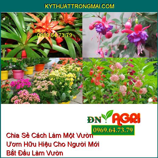 Chia Sẻ Cách Làm Một Vườn Ươm Hữu Hiệu Cho Người Mới Bắt Đầu Làm Vườn