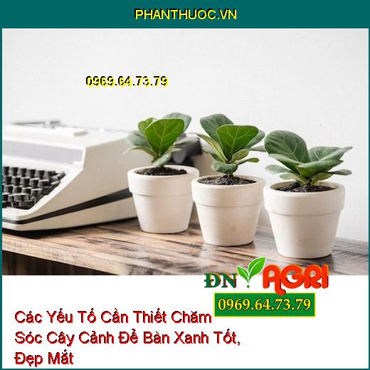 Các Yếu Tố Cần Thiết Chăm Sóc Cây Cảnh Để Bàn Xanh Tốt, Đẹp Mắt