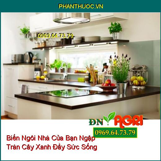 Thủ Thuật Biến Ngôi Nhà Của Bạn Ngập Tràn Cây Xanh Đầy Sức Sống