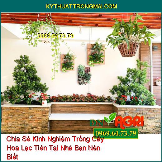 Chia Sẻ Kinh Nghiệm Trồng Cây Hoa Lạc Tiên Tại Nhà Bạn Nên Biết