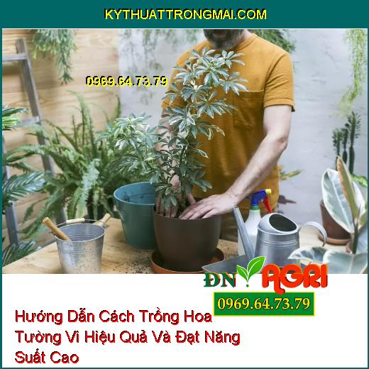 Hướng Dẫn Cách Trồng Hoa Tường Vi Hiệu Quả Và Đạt Năng Suất Cao