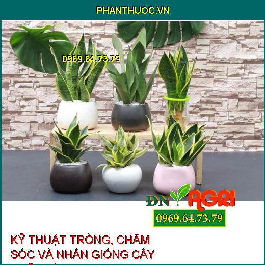 KỸ THUẬT TRỒNG, CHĂM SÓC VÀ NHÂN GIỐNG CÂY LƯỠI HỔ