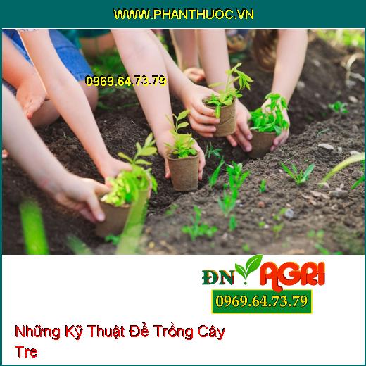 Những Kỹ Thuật Để Trồng Cây Tre