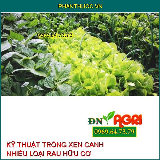 KỸ THUẬT TRỒNG XEN CANH NHIỀU LOẠI RAU HỮU CƠ