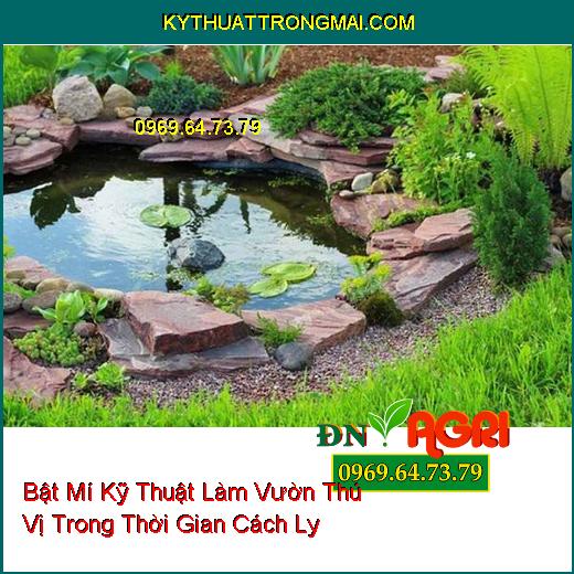 Bật Mí Kỹ Thuật Làm Vườn Thú Vị Trong Thời Gian Cách Ly