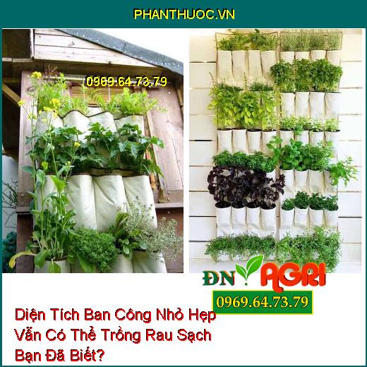 Diện Tích Ban Công Nhỏ Hẹp Vẫn Có Thể Trồng Rau Sạch Bạn Đã Biết?