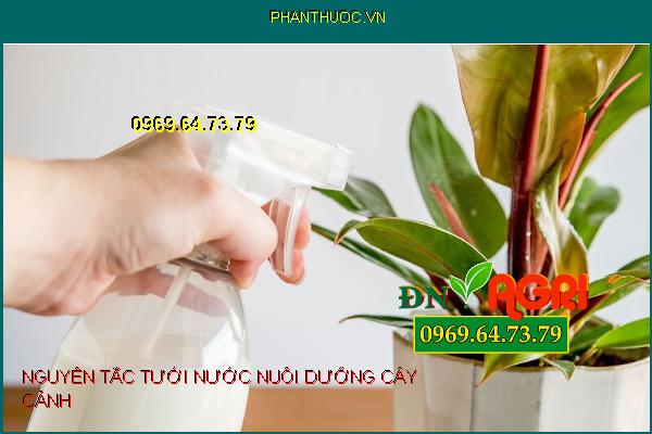 5 Nguyên Tắc Cơ Bản Khi Tưới Nước Cho Cây Cảnh Không Nên Bỏ Qua 