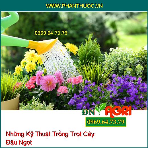 Những Kỹ Thuật Trồng Trọt Cây Đậu Ngọt