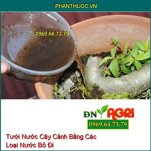 4 Loại Nước Tưới Tưởng Bỏ Đi Nhưng Lại Vô Cùng Giàu Dinh Dưỡng Cho Cây