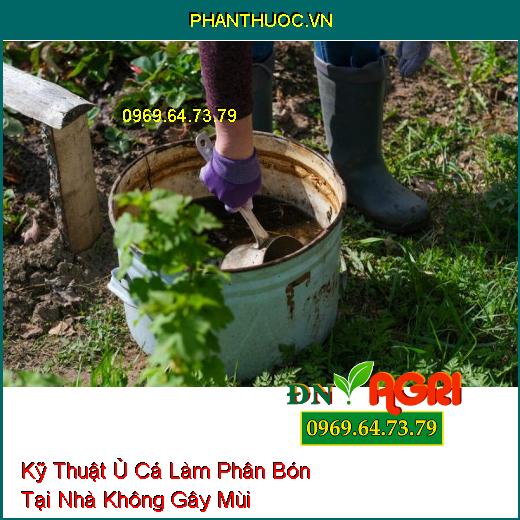 Kỹ Thuật Ủ Cá Làm Phân Bón Tại Nhà Không Gây Mùi