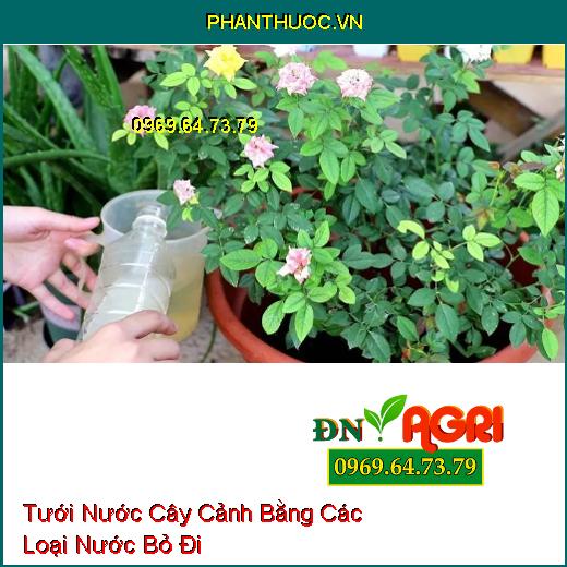 4 Loại Nước Tưới Tưởng Bỏ Đi Nhưng Lại Vô Cùng Giàu Dinh Dưỡng Cho Cây