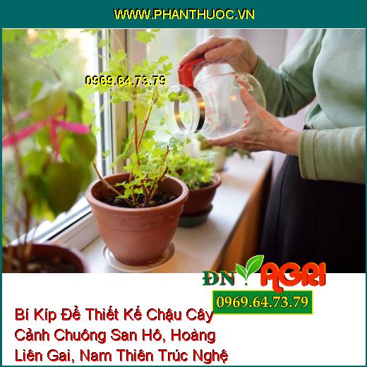 Bí Kíp Để Thiết Kế Chậu Cây Cảnh Chuông San Hô, Hoàng Liên Gai, Nam Thiên Trúc Nghệ Thuật