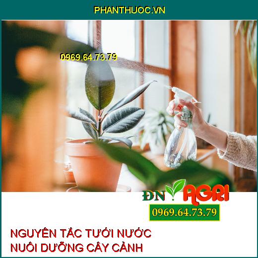 5 Nguyên Tắc Cơ Bản Khi Tưới Nước Cho Cây Cảnh Không Nên Bỏ Qua 