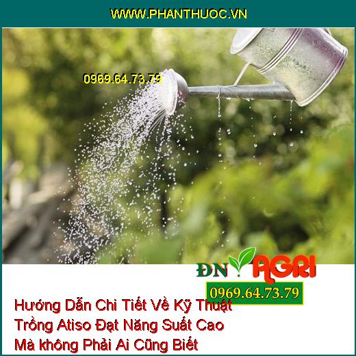 Hướng Dẫn Chi Tiết Về Kỹ Thuật Trồng Atiso Đạt Năng Suất Cao Mà không Phải Ai Cũng Biết