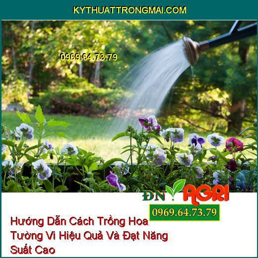 Hướng Dẫn Cách Trồng Hoa Tường Vi Hiệu Quả Và Đạt Năng Suất Cao