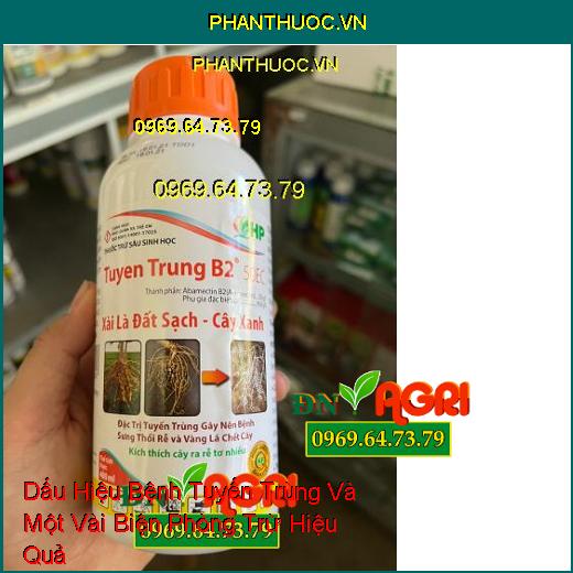 Dấu Hiệu Bệnh Tuyến Trùng Và Một Vài Biện Phòng Trừ Hiệu Quả