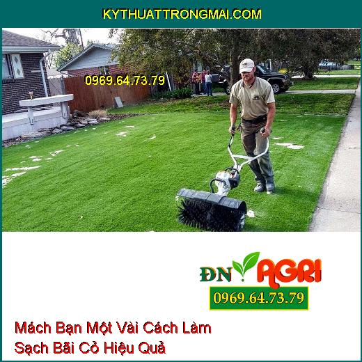 Mách Bạn Một Vài Cách Làm Sạch Bãi Cỏ Hiệu Quả 