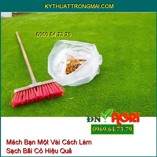 Mách Bạn Một Vài Cách Làm Sạch Bãi Cỏ Hiệu Quả 