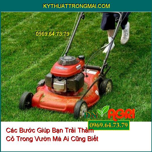 Các Bước Giúp Bạn Trải Thảm Cỏ Trong Vườn Mà Ai Cũng Biết