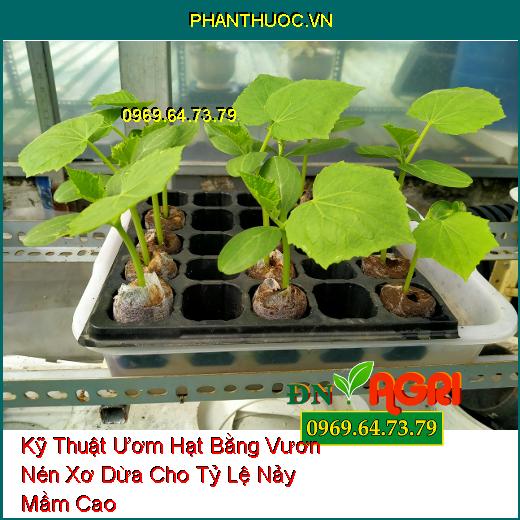 Kỹ Thuật Ươm Hạt Bằng Vươn Nén Xơ Dừa Cho Tỷ Lệ Nảy Mầm Cao