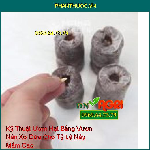 Kỹ Thuật Ươm Hạt Bằng Vươn Nén Xơ Dừa Cho Tỷ Lệ Nảy Mầm Cao