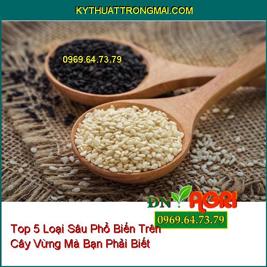 Top 5 Loại Sâu Phổ Biến Trên Cây Vừng Mà Bạn Phải Biết