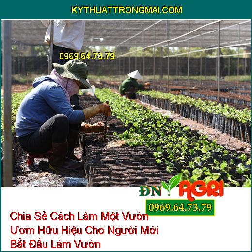 Chia Sẻ Cách Làm Một Vườn Ươm Hữu Hiệu Cho Người Mới Bắt Đầu Làm Vườn