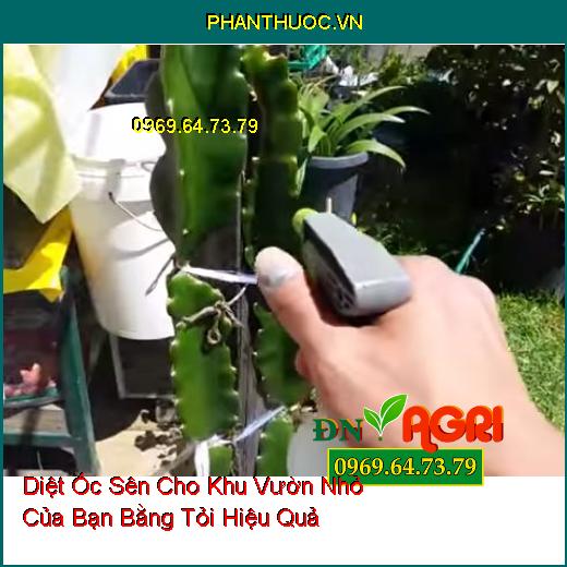 Diệt Ốc Sên Cho Khu Vườn Nhỏ Của Bạn Bằng Tỏi Hiệu Quả