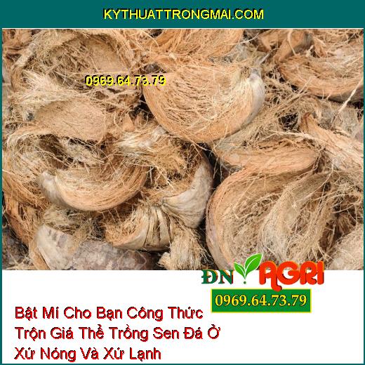 Bật Mí Cho Bạn Công Thức Trộn Giá Thể Trồng Sen Đá Ở Xứ Nóng Và Xứ Lạnh