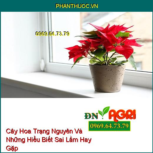 Cây Hoa Trạng Nguyên Và Những Hiểu Biết Sai Lầm Hay Gặp