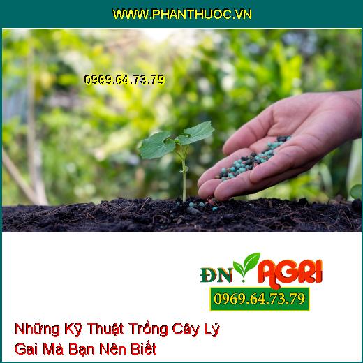 Những Kỹ Thuật Trồng Cây Lý Gai Mà Bạn Nên Biết