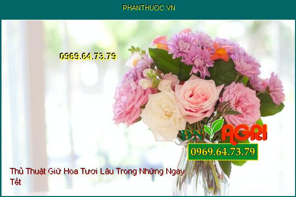 Thủ Thuật Giữ Hoa Tươi Lâu Trong Những Ngày Tết