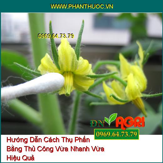 Hướng Dẫn Cách Thụ Phấn Bằng Thủ Công Vừa Nhanh Vừa Hiệu Quả