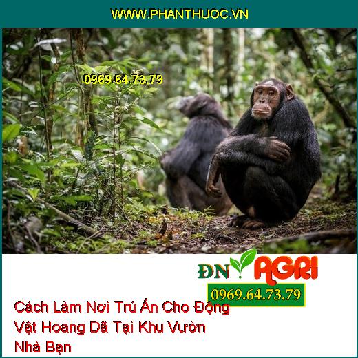 Cách Làm Nơi Trú Ẩn Cho Động Vật Hoang Dã Tại Khu Vườn Nhà Bạn